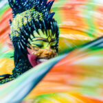 carnaval-2018_25332492457_o